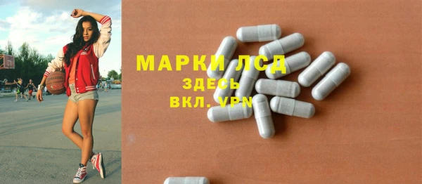 хмурый Алзамай