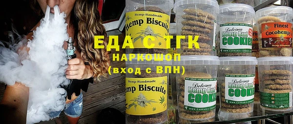 хмурый Алзамай