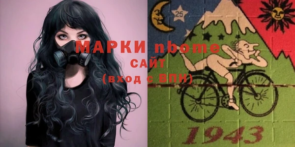 хмурый Алзамай