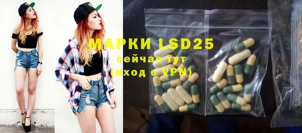хмурый Алзамай