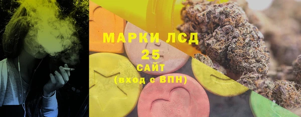хмурый Алзамай